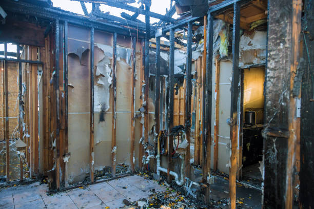 Professional Fire Damage Removal technician working in Norwood Young America, MN